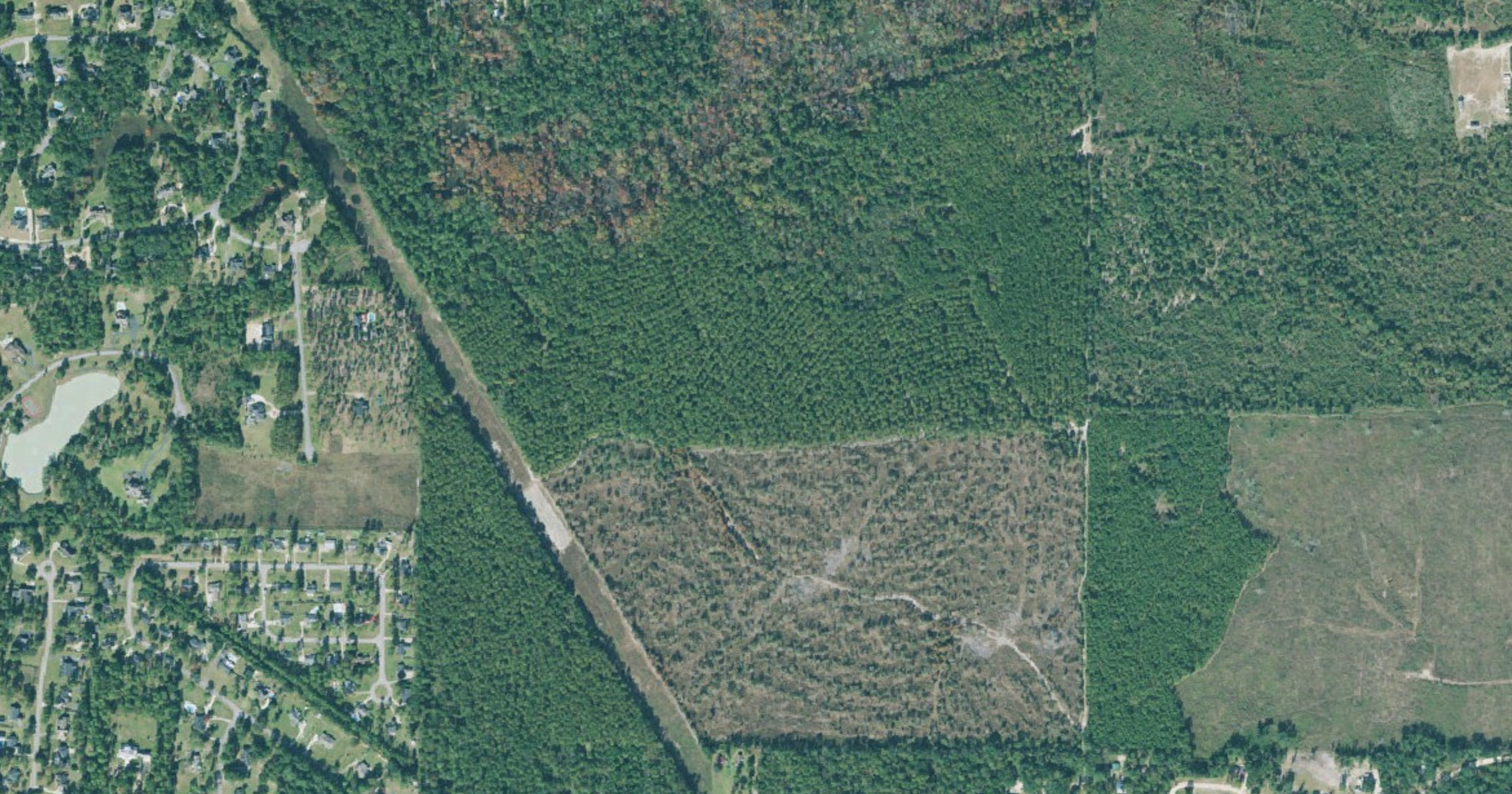 Aerial view of the Bainbridge Pondtown Road powered site (100 acres) and 262-acre data center site site in Bainbridge, GA